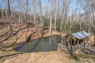 220 Mt Harmony Church Rd, Lawndale, NC 28090 - Photo 4