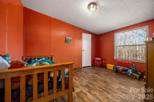 220 Mt Harmony Church Rd, Lawndale, NC 28090 - Photo 20