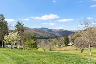 223 Fairway Terrace, Canton, NC 28716 - Photo 46