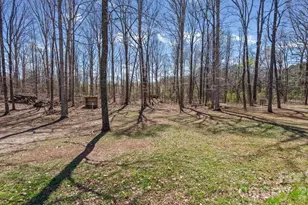 145 White Rock Farm Ln, Statesville, NC 28625 - Photo 22
