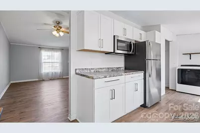 145 White Rock Farm Lane, Statesville, NC 28625 - Photo 10