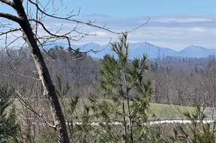 365 Trout Brook Loop, Newland, NC 28657 - Photo 22