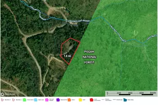 182 Baby Fox Dr, Marion, NC 28752 - Photo 40