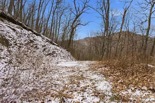 301 Awohali Trail, Maggie Valley, NC 28751 - Photo 18