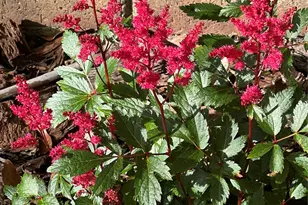 2008 Kings Rd, Shelby, NC 28150 - Photo 32