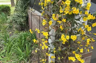 2008 Kings Rd, Shelby, NC 28150 - Photo 36