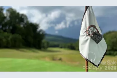 538 Chestertown Drive, Mill Spring, NC 28756 - Photo 48