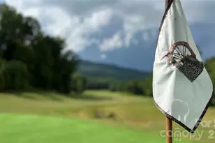 538 Chestertown Dr, Mill Spring, NC 28756 - Photo 48