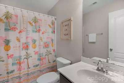 3729 Methodist Church Lane, Waxhaw, NC 28173 - Photo 30
