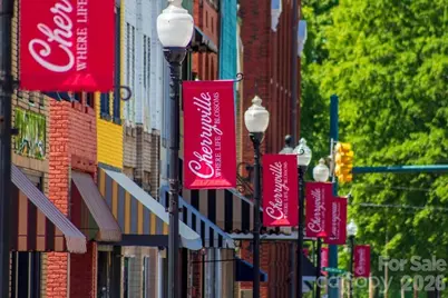 119 Henry Putnam Drive, Cherryville, NC 28021 - Photo 32