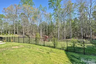 280 Palm Cove Way, York, SC 29745 - Photo 44