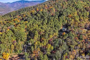 97 Old Cv Rd, Black Mountain, NC 28711 - Photo 32