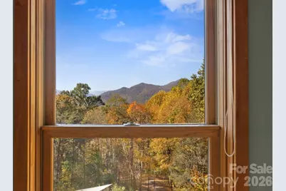 97 Old Cove Road, Black Mountain, NC 28711 - Photo 20