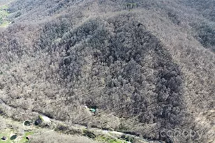 17619 Nc 209 Hwy, Hot Springs, NC 28743 - Photo 12