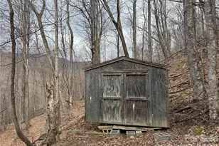 17619 Nc 209 Hwy, Hot Springs, NC 28743 - Photo 6