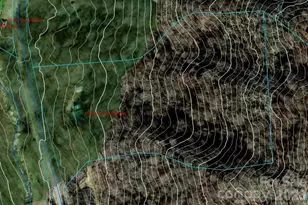 17619 Nc 209 Hwy, Hot Springs, NC 28743 - Photo 12