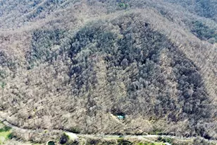 17619 Nc 209 Hwy, Hot Springs, NC 28743 - Photo 2