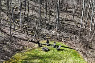 256 Inglewood Cove Rd, Waynesville, NC 28786 - Photo 22