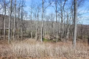 256 Inglewood Cove Rd, Waynesville, NC 28786 - Photo 26