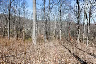 256 Inglewood Cove Rd, Waynesville, NC 28786 - Photo 30