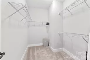 509 Sweet Birch Park Ln, Black Mountain, NC 28711 - Photo 28