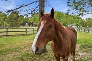 5508 McWhorter Rd, Waxhaw, NC 28173 - Photo 4