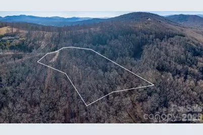 96 Castanea Mountain Drive, Asheville, NC 28803 - Photo 1