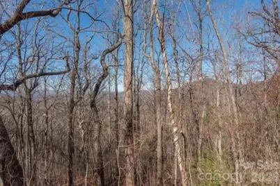 96 Castanea Mountain Drive, Asheville, NC 28803 - Photo 6