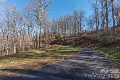 96 Castanea Mountain Drive, Asheville, NC 28803 - Photo 2