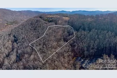 96 Castanea Mountain Drive, Asheville, NC 28803 - Photo 10