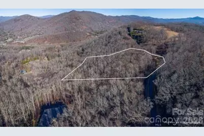 96 Castanea Mountain Drive, Asheville, NC 28803 - Photo 12