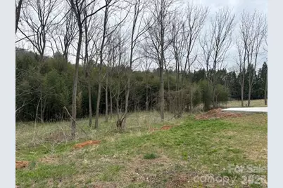 99999 Tatoonie Lane, Asheville, NC 28804 - Photo 2