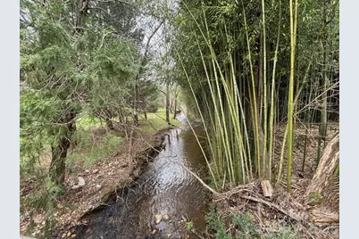 99999 Tatoonie Lane, Asheville, NC 28804 - Photo 4