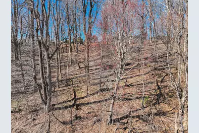 Lot 32 Strawberry Ridge Road, Little Switzerland, NC 28749 - Photo 8