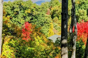 61 Creekside Wy, Burnsville, NC 28714 - Photo 36