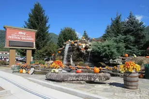 399 Bent Tree Rd, Maggie Valley, NC 28751 - Photo 42