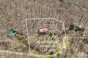 519 Promiseland Rd, Canton, NC 28716 - Photo 30