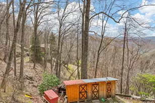 519 Promiseland Rd, Canton, NC 28716 - Photo 26