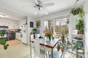 297 White Pine Dr, Asheville, NC 28805 - Photo 10