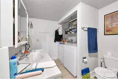 297 White Pine Drive, Asheville, NC 28805 - Photo 18