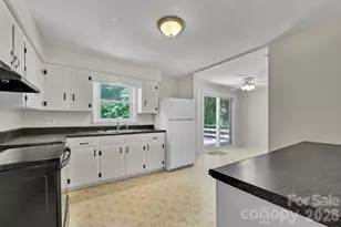297 White Pine Dr, Asheville, NC 28805 - Photo 6