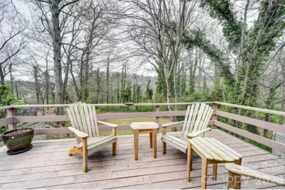 297 White Pine Drive, Asheville, NC 28805 - Photo 22