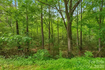 0000 Lucy Short Cut Road #3, Marshville, NC 28103 - Photo 14