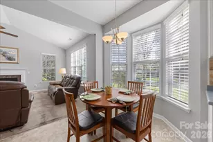 355 Garnet Ct, Fort Mill, SC 29708 - Photo 10