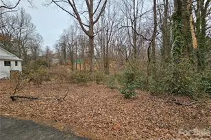 0 Pine St, Tryon, NC 28782 - Photo 1