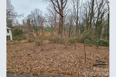 0 Pine Street #25, Tryon, NC 28782 - Photo 2