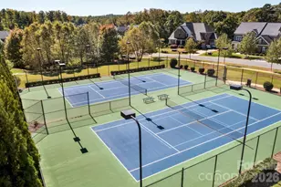 2419 Spring Rock Pl, Huntersville, NC 28078 - Photo 46