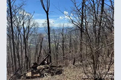 270 Anielee Lane, Clyde, NC 28721 - Photo 22