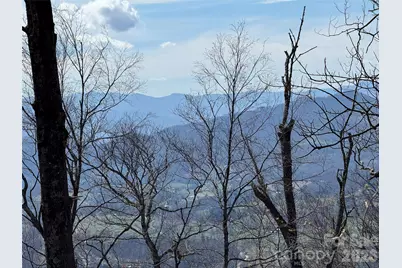 270 Anielee Lane, Clyde, NC 28721 - Photo 4