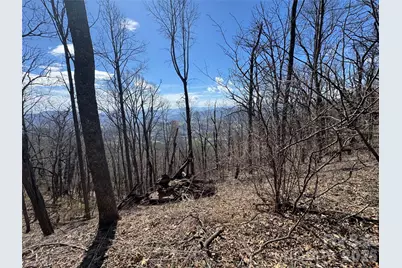 270 Anielee Lane, Clyde, NC 28721 - Photo 10